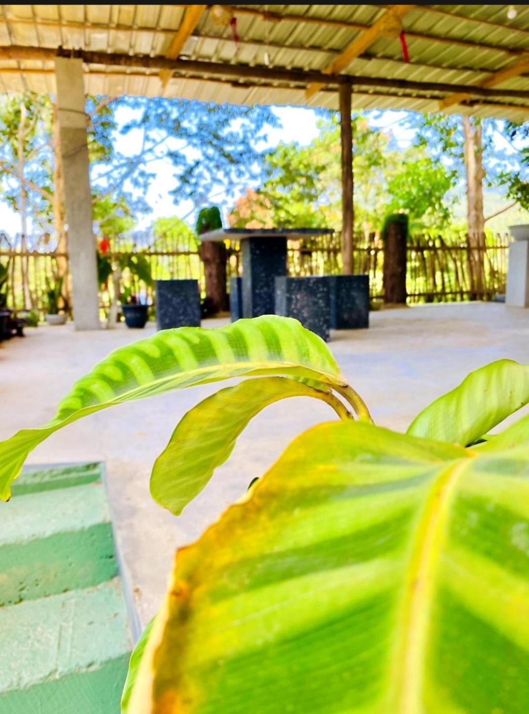 Blissful Haven Hotel Ella Exterior photo